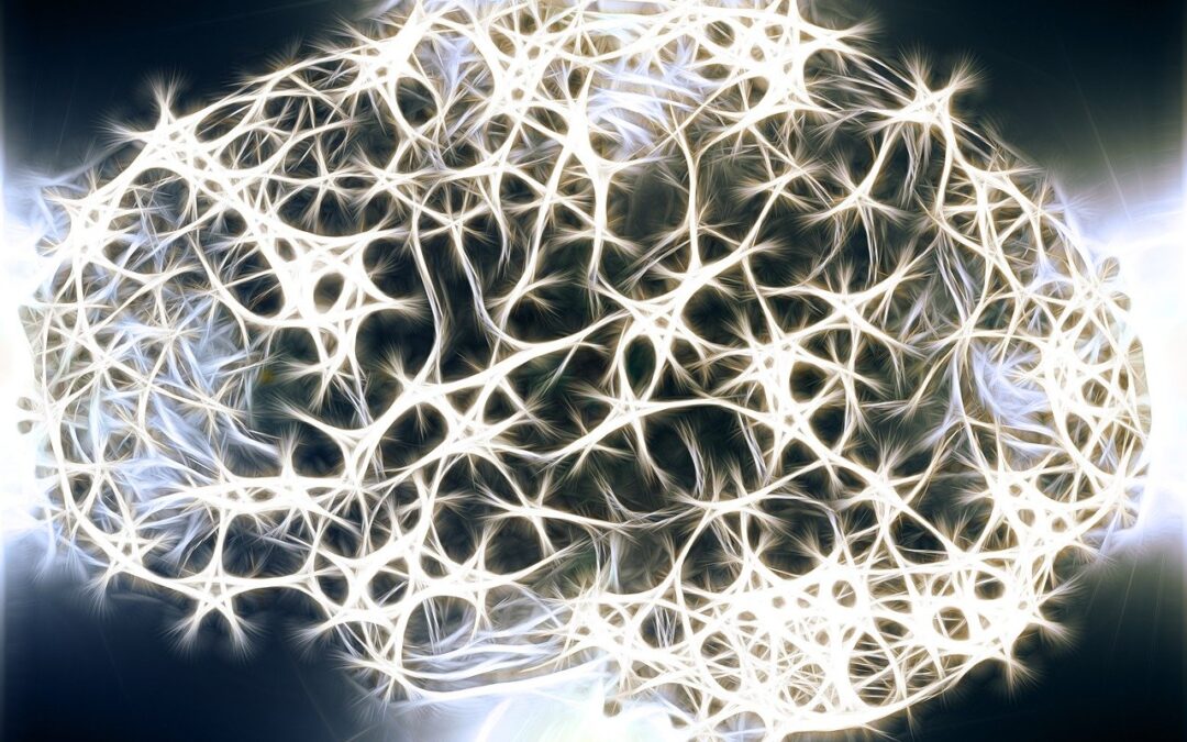 Proteostasi alterata nella malattia di Alzheimer: prospettive nutriterapeutiche
