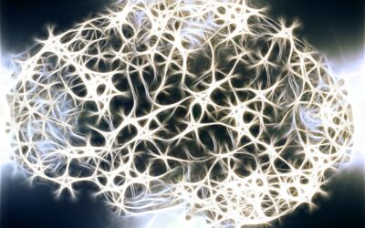 Altération de la protéostase dans la maladie d’Alzheimer : Perspectives nutrithérapeutiques